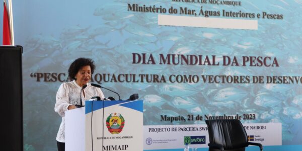 Campanha de Pesca 2023 regista aumento na produção global